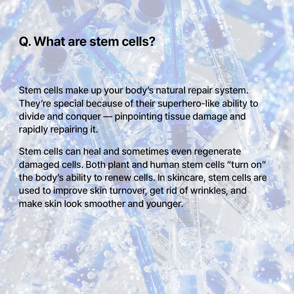 Stem Cell Ampoule 10% + 30% Franz Skincare USA