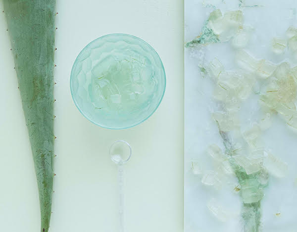 The DNA of Skincare: Aloe Vera - Franz Skincare USA