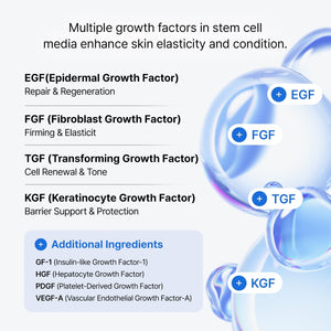 Stem Cell Culture Medium Ampoule 10% Franz Skincare USA